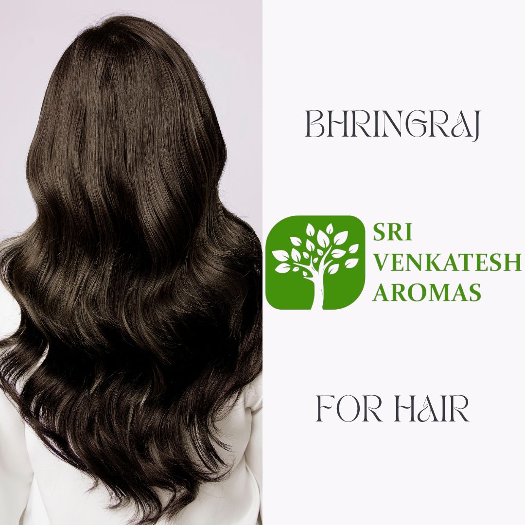 HOW TO USE BHRINGRAJ OIL FOR HAIR? TOP REMEDIES FOR HAIR PROBLEMS
