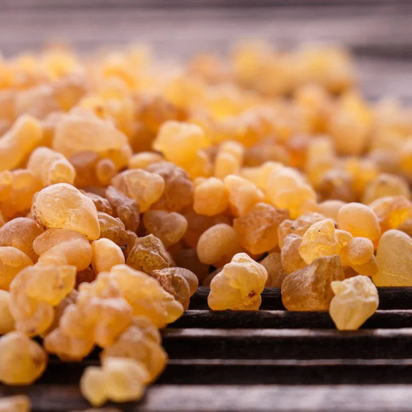 Wholesale manufacturer, supplier & exporter of bulk frankincense essential oils