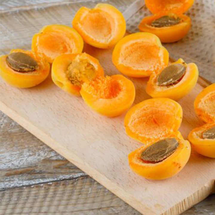 Sri Venkatesh Aromas (SVA Naturals): Top manufacturer & exporter of Bulk Apricot kernel oil 