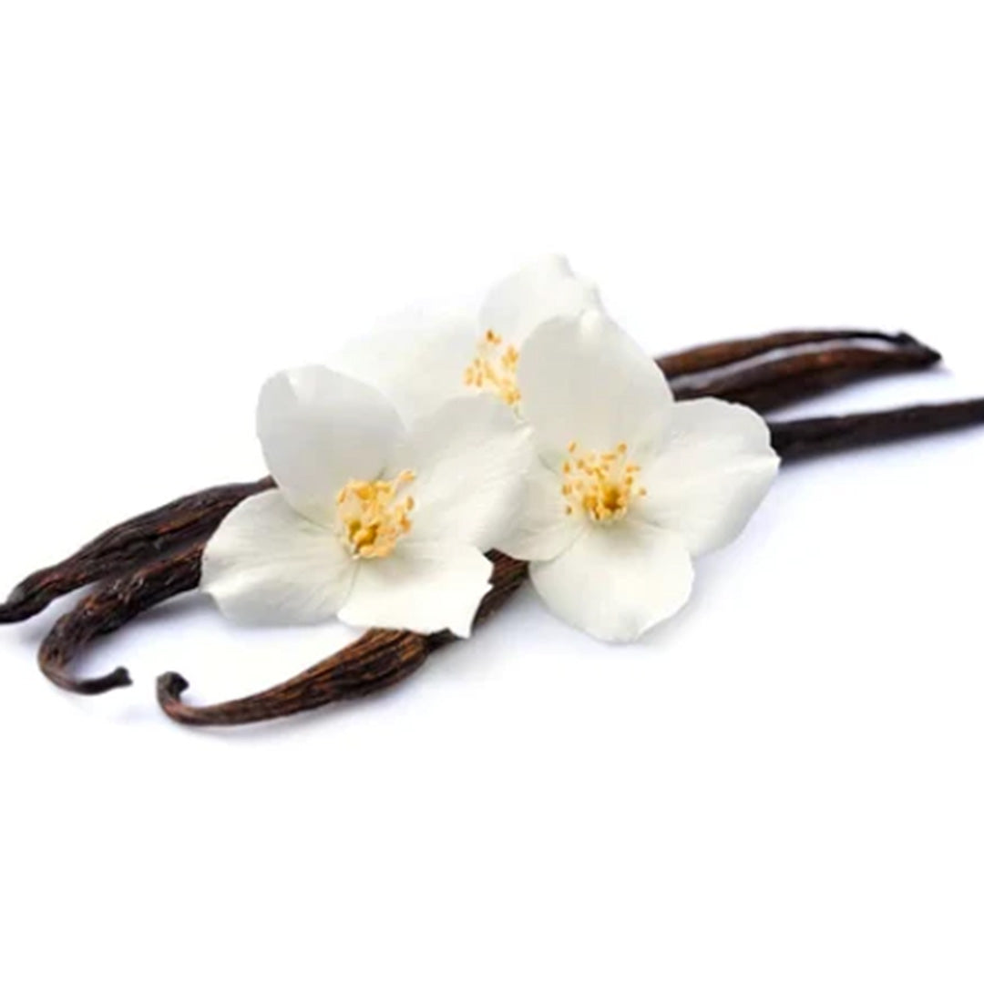 Sri Venkatesh Aromas (SVA Naturals): Top manufacturer & exporter of Bulk Vanilla Fragrance