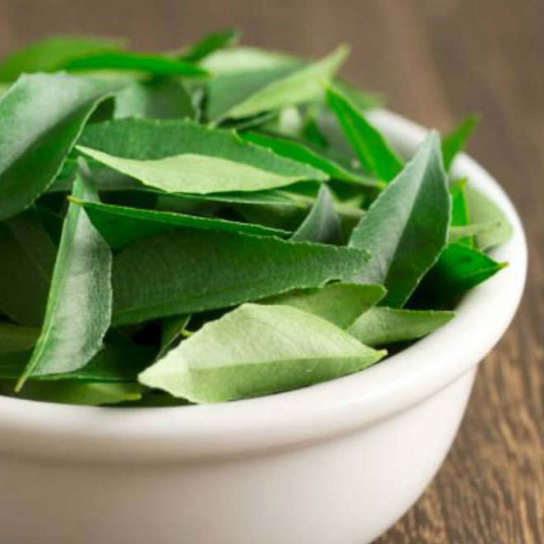 Sri Venkatesh Aromas (SVA Naturals): Bulk manufacturer & Exporter of Curry leaf essential oil
