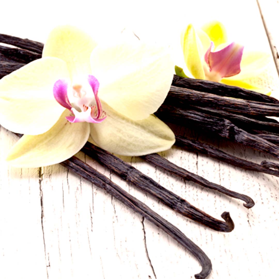 Sri Venkatesh Aromas (SVA Naturals): Bulk manufacturer & Exporter of Vanilla Oleoresin 1 Fold