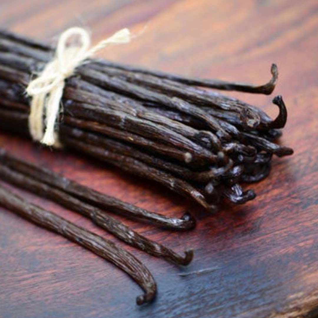 Buy Bulk Wholesale Vanilla Oleoresin 10 Fold at SVA Naturals – Sva Naturals