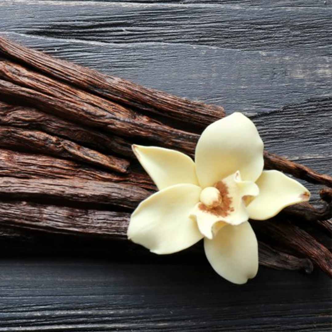 Sri Venkatesh Aromas (SVA Naturals): Top manufacturer & exporter of Bulk Vanilla Oleoresin 5 fold 