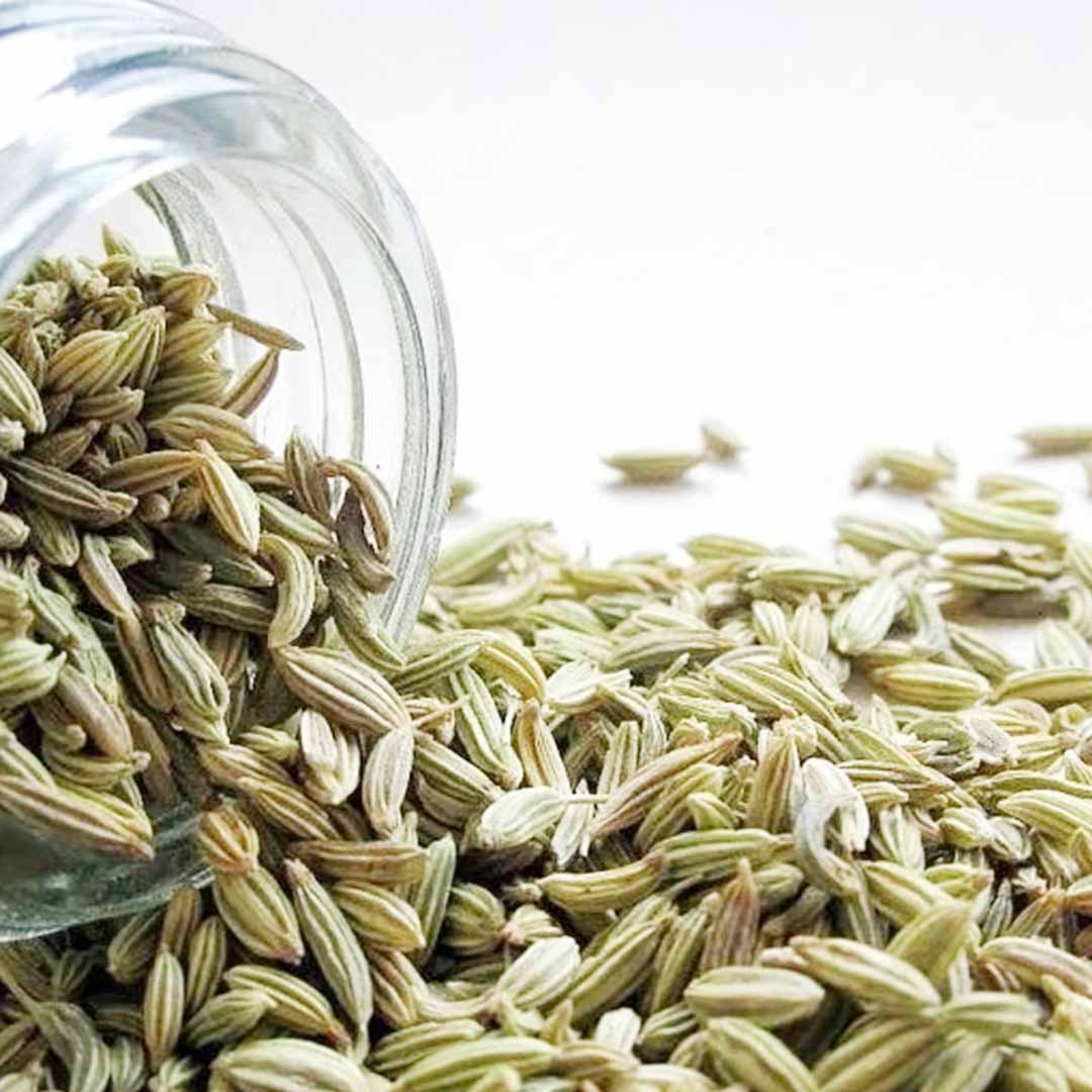 Purchase Fennel Bitter Essential Oil Bulk Manufacturer & Supplier