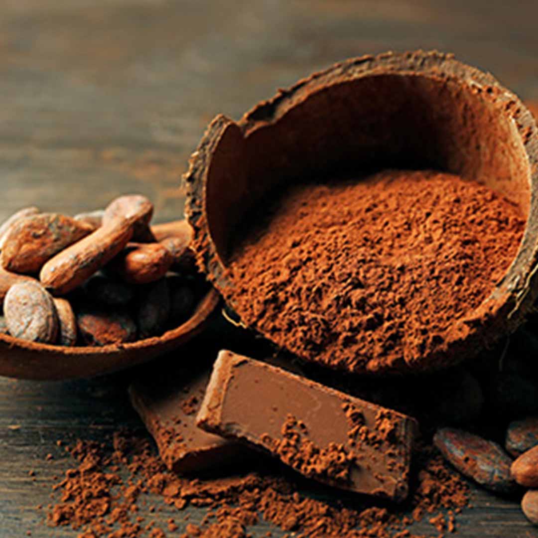 Sri Venkatesh Aromas (SVA Naturals): Top manufacturer & exporter of Bulk Cocoa Absolute
