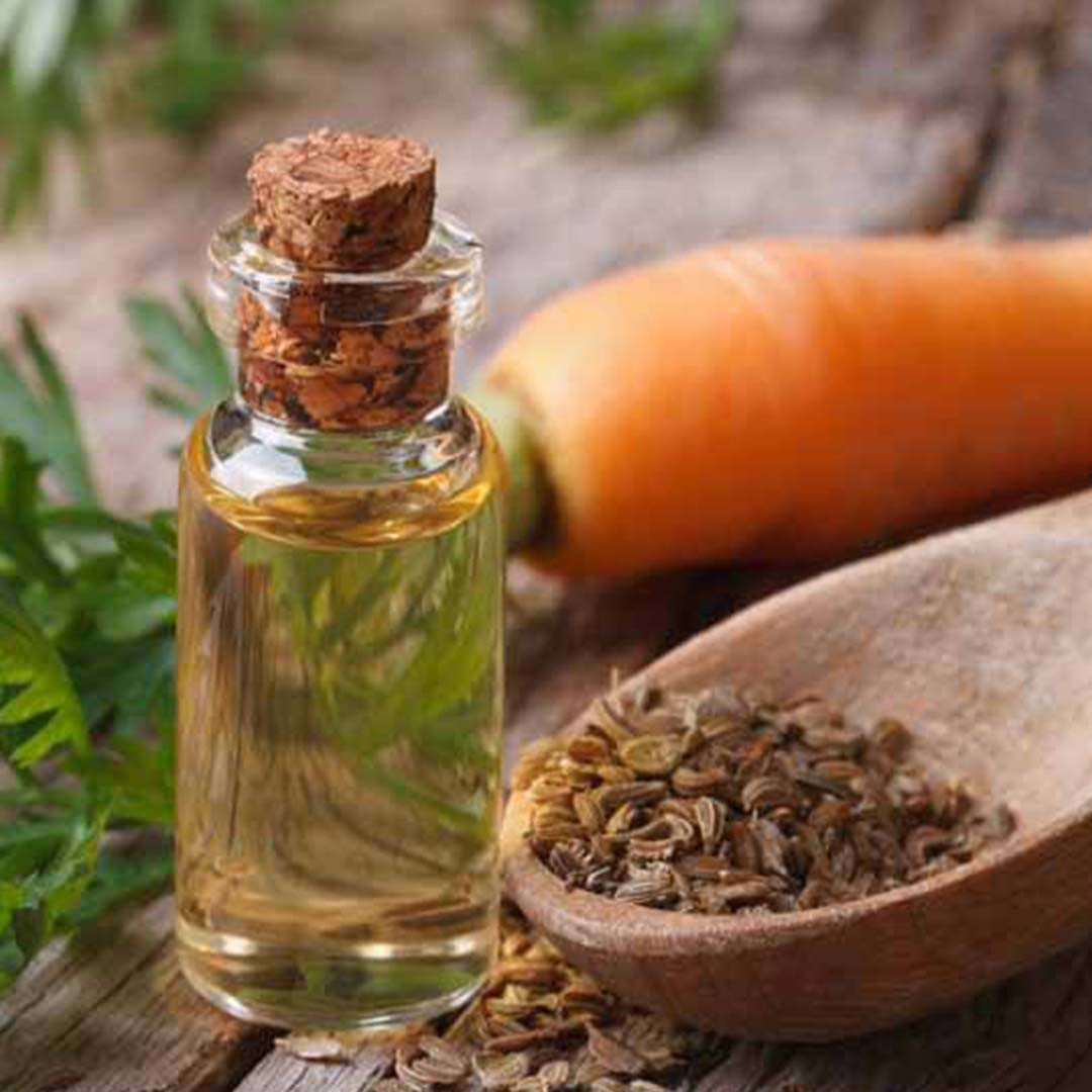 High quality essential oil manufacturer & exporter in wholesale bulk quantities. Buy Carrot seed oil now with SVA Naturals