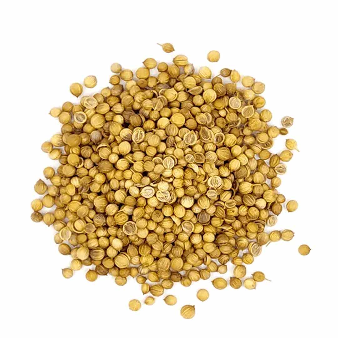 Coriander Seed Oil, ORGANIC Manufacturer & Supplier & Bulk Exporter