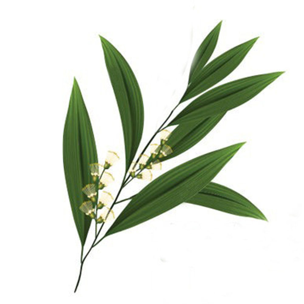 Buy Tea Tree Chinese Essential Oil In Bulk Essential Natural Oils