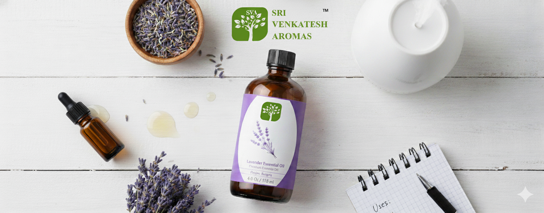 Lavender Bulgaria Essential Oil: A Natural and Versatile Aroma for Everyday Use
