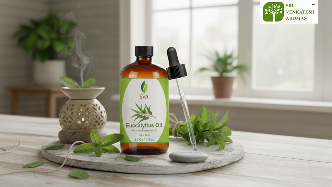 Eucalyptus Dives Essential Oil: Fresh, Natural & Invigorating