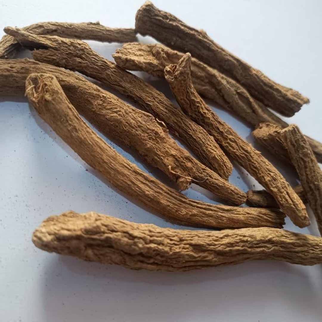 Sri Venkatesh Aromas (SVA Naturals): Top manufacturer & exporter of Bulk Costus Root essential oil