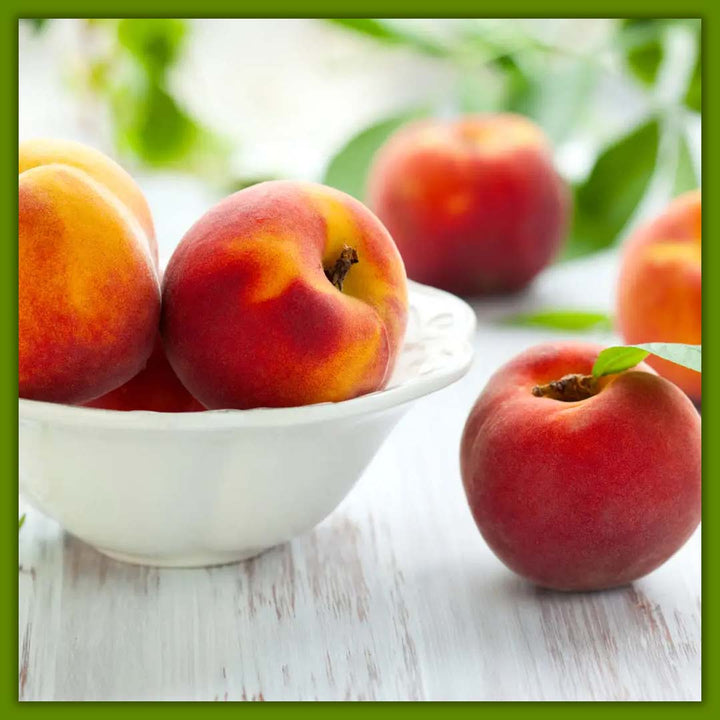 PEACH PUNCH FRAGRANCE
