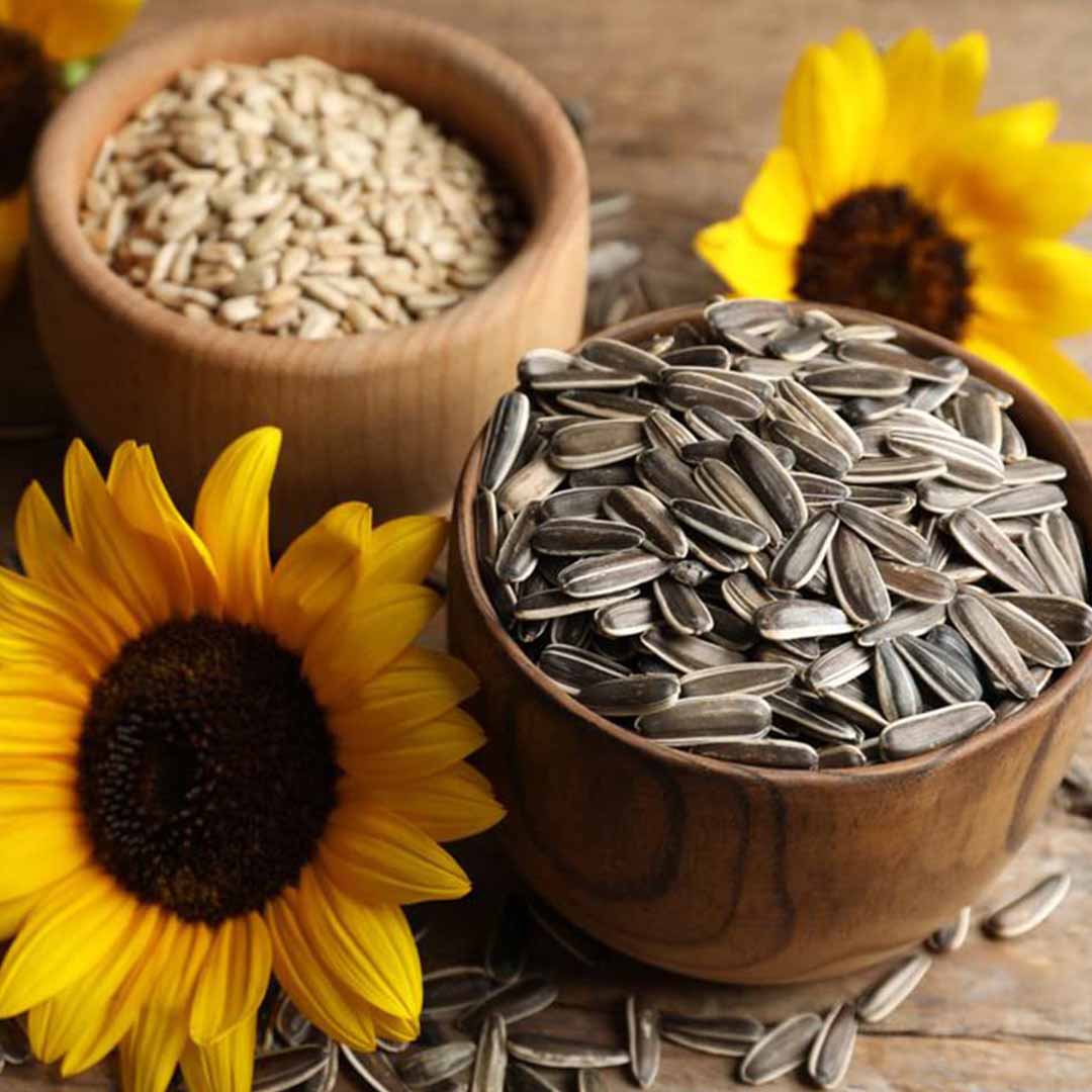 SUNFLOWER SEED OIL