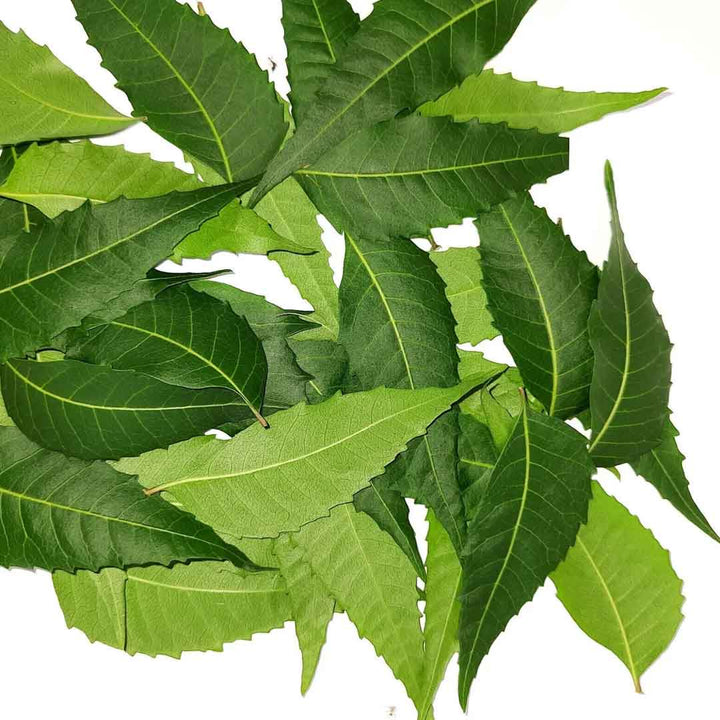 NEEM OIL, ORGANIC