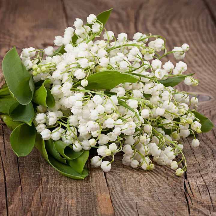 LILY OF THE VALLEY FRAGRANCE NATURAL