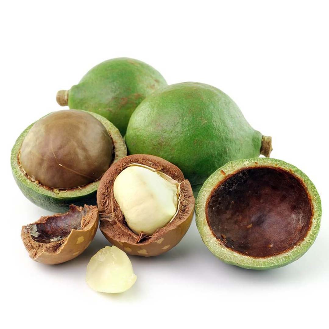 TAMANU SEED OIL, ORGANIC