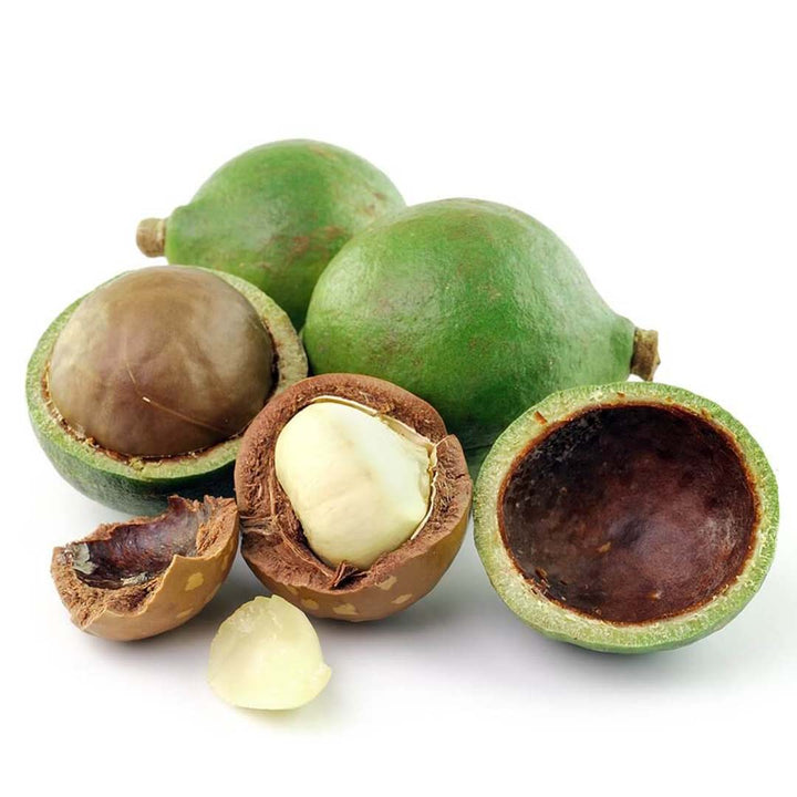TAMANU SEED OIL, ORGANIC