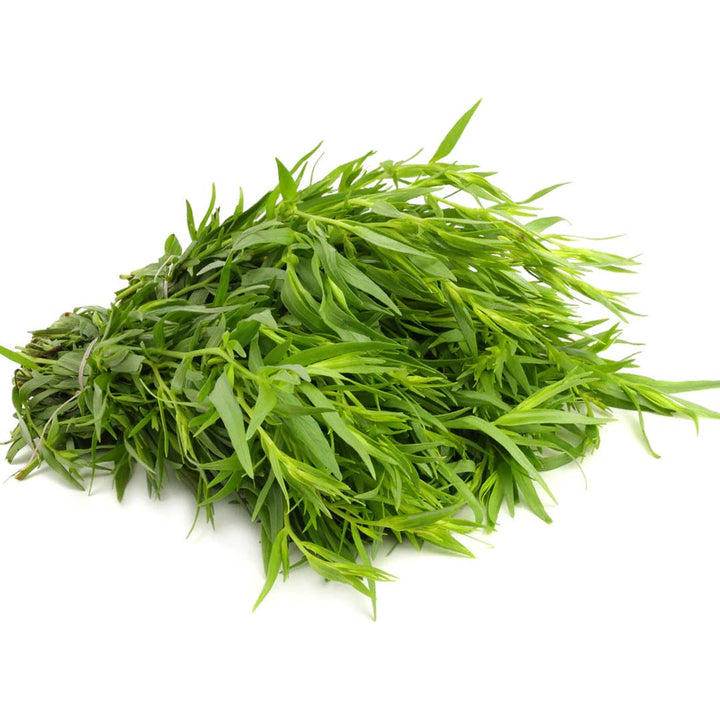 TARRAGON ESSENTIAL OIL