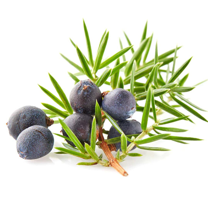 JUNIPER BERRY ESSENTIAL OIL (EUROPE)