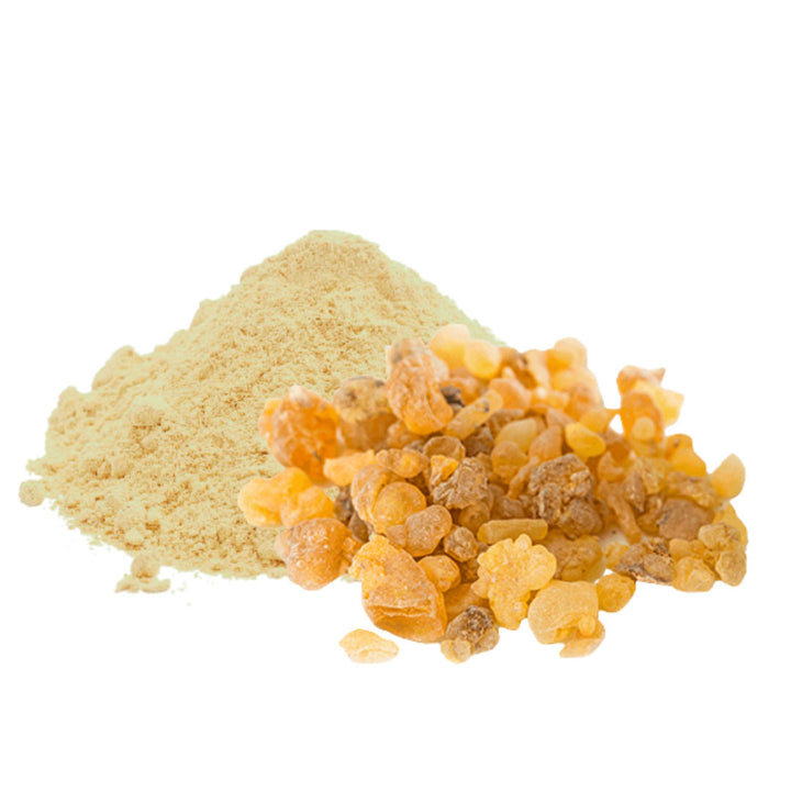 High quality essential oil manufacturer & exporter in wholesale bulk quantities. Buy bulk Boswellia Extract 65% now with SVA Naturals