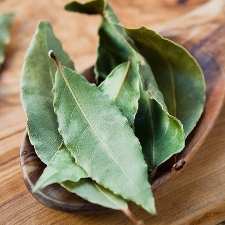 PIMENTO (BAY) LEAF ESSENTIAL OIL