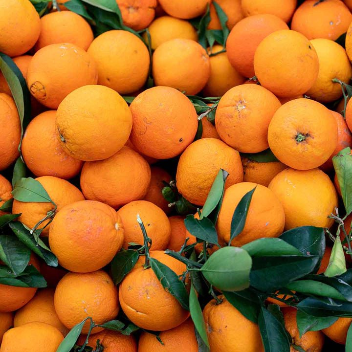MANDARIN ESSENTIAL OIL