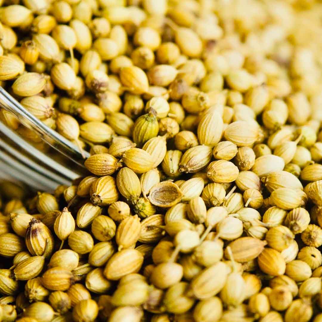 Sri Venkatesh Aromas (SVA Naturals): Top manufacturer & exporter of Bulk Coriander seed essential oil