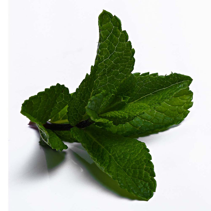 PEPPERMINT ESSENTIAL OIL, ORGANIC