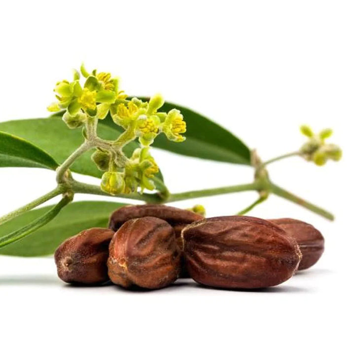 JOJOBA OIL, REFINED, COLORLESS, ODORLESS