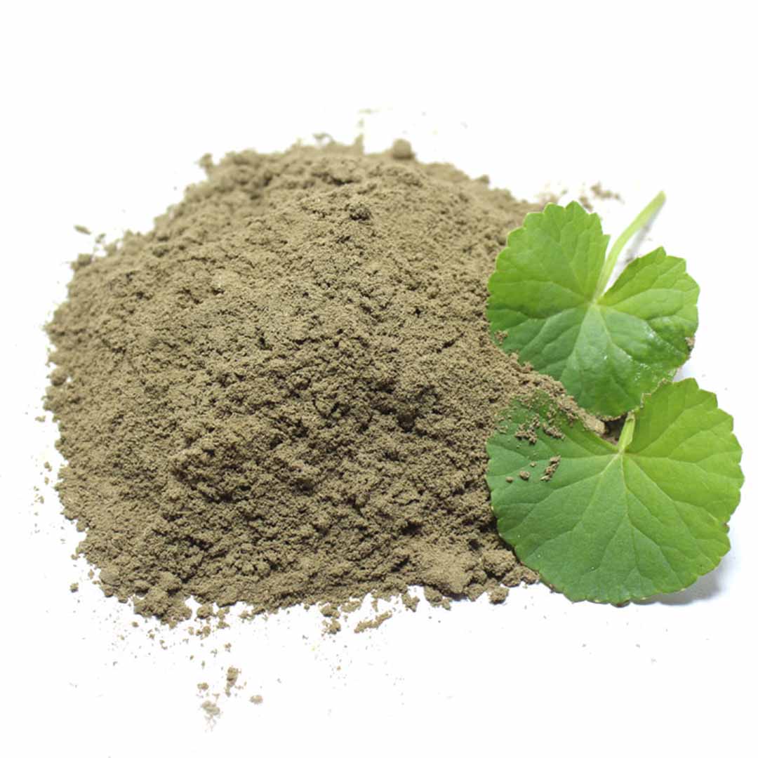 Sri Venkatesh Aromas (SVA Naturals): Bulk manufacturer & Exporter of Brahmi Powder