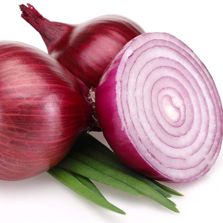 ONION ESSENTIAL OIL