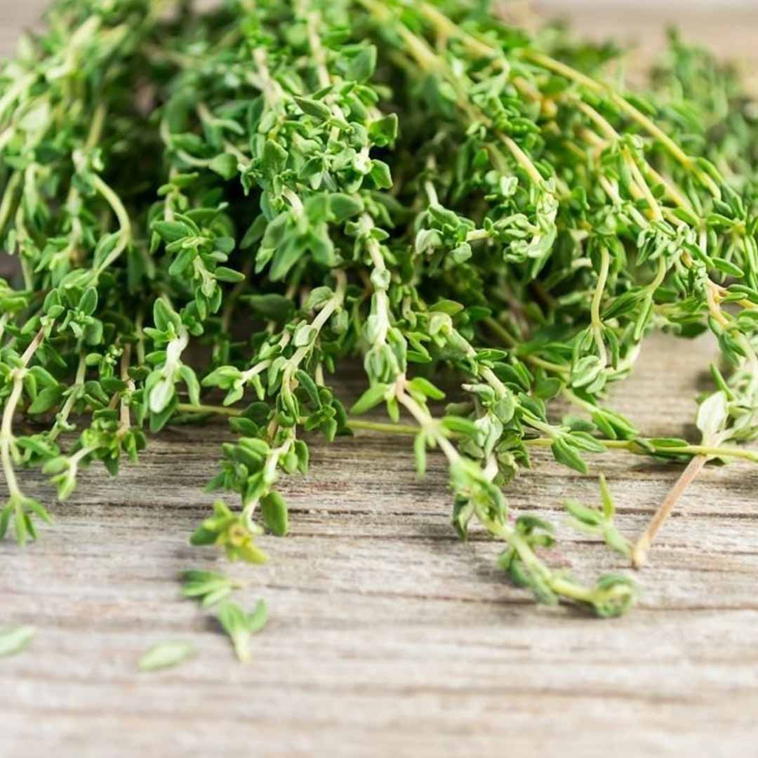 THYME ESSENTIAL OIL, ORGANIC