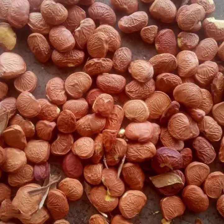 KARANJA OIL VIRGIN, UNREFINED