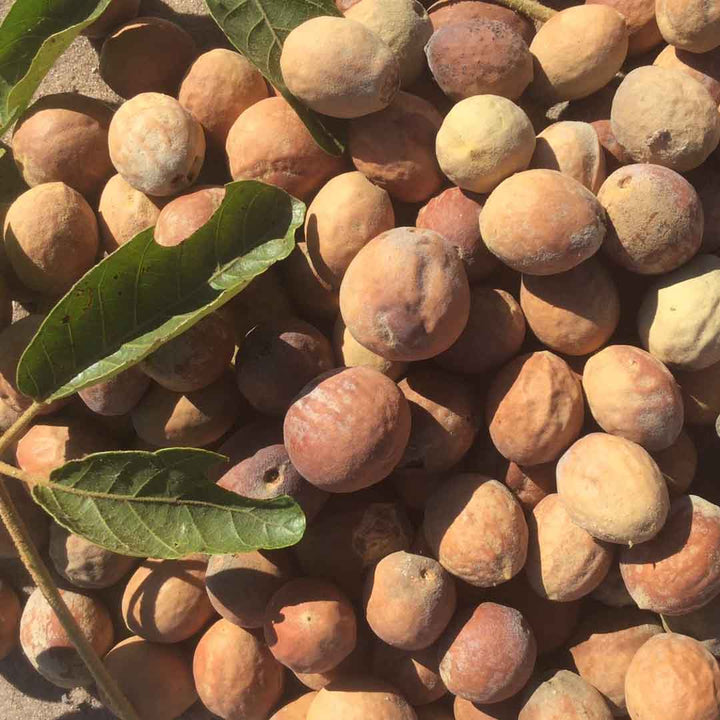 MANKETTI (MONGONGO) OIL, VIRGIN UNREFINED