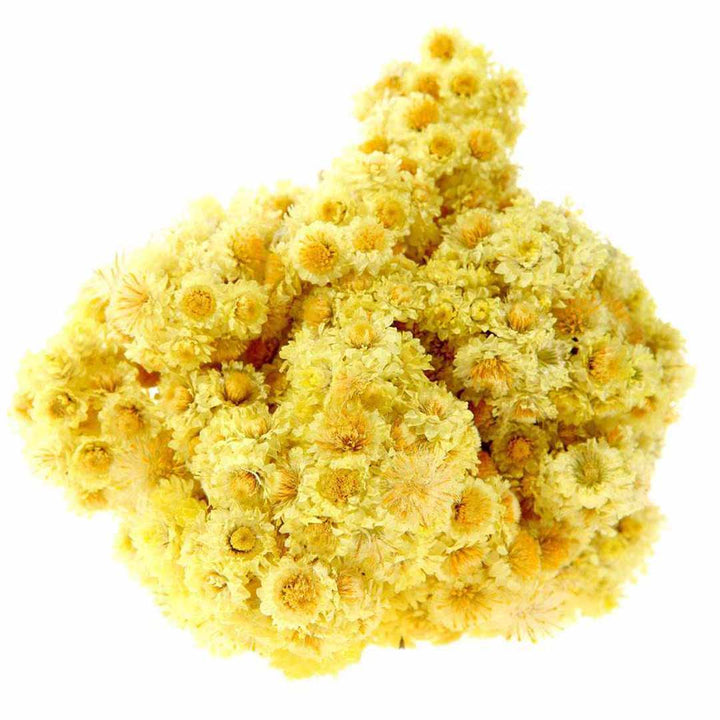 HELICHRYSUM ITALICUM OIL 3% IN JOJOBA