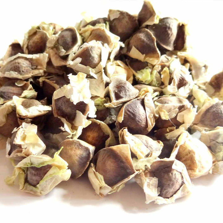 MORINGA SEED OIL, ORGANIC