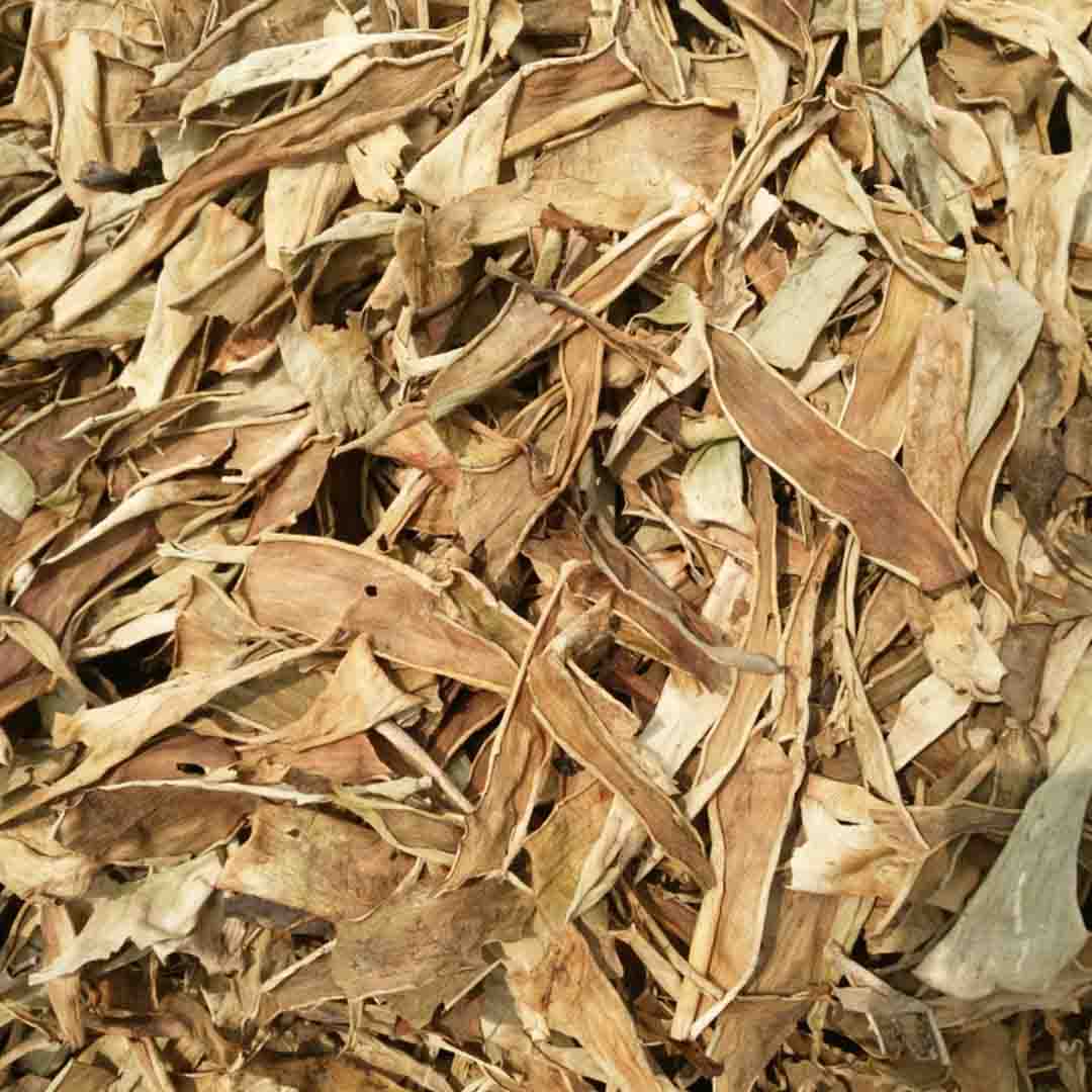 Sri Venkatesh Aromas (SVA Naturals): Top manufacturer & exporter of Bulk Aloe vera dry extract