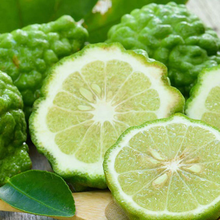 Bulk manufacturer & exporter of Bergamot Fragrance Natural by Sri Venkatesh Aromas (SVA Naturals) in wholesale bulk