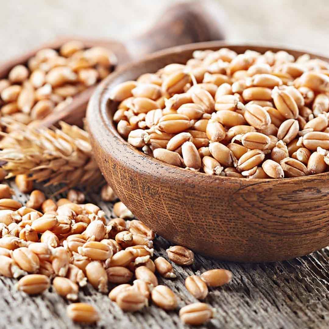 Sri Venkatesh Aromas (SVA Naturals): Bulk manufacturer & Exporter of Wheat Germ Oil, Virgin, Unrefined