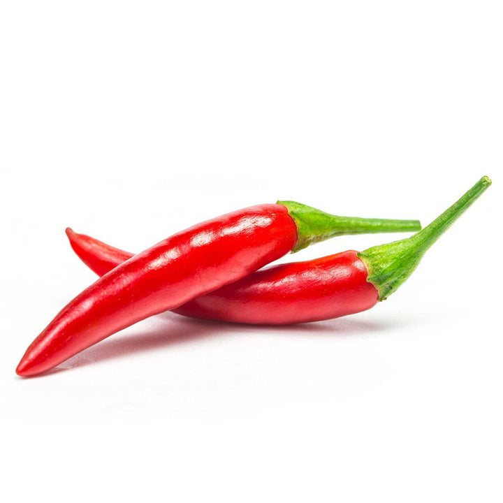 CAPSICUM OLEORESIN 10%