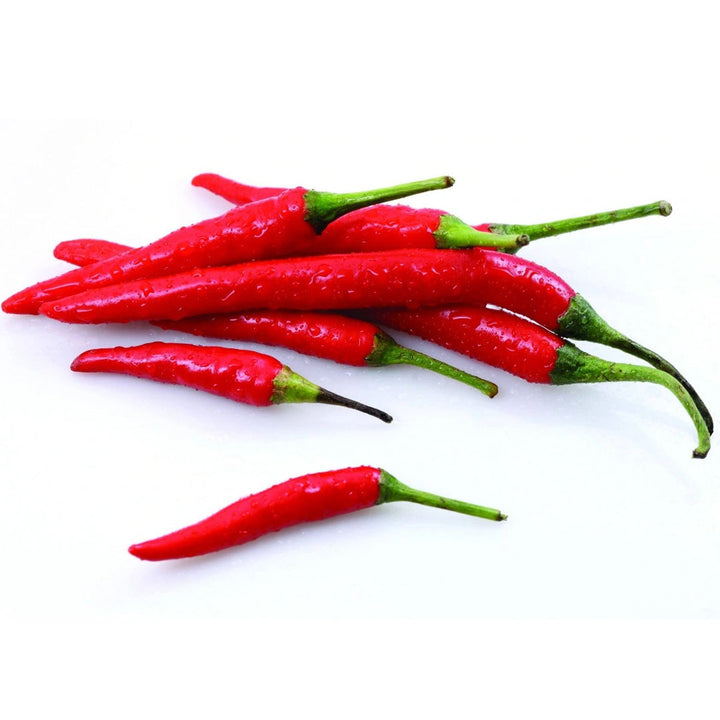 CAPSICUM OLEORESIN 20%