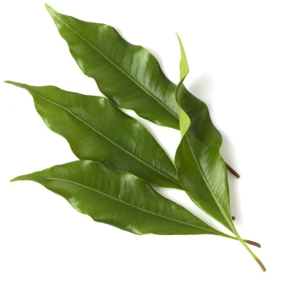 CLOVE LEAF ESSENTIAL OIL, ORGANIC