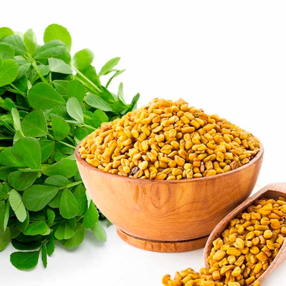 High quality essential oil manufacturer & exporter in wholesale bulk quantities. Buy Fenugreek extract now with SVA Naturals