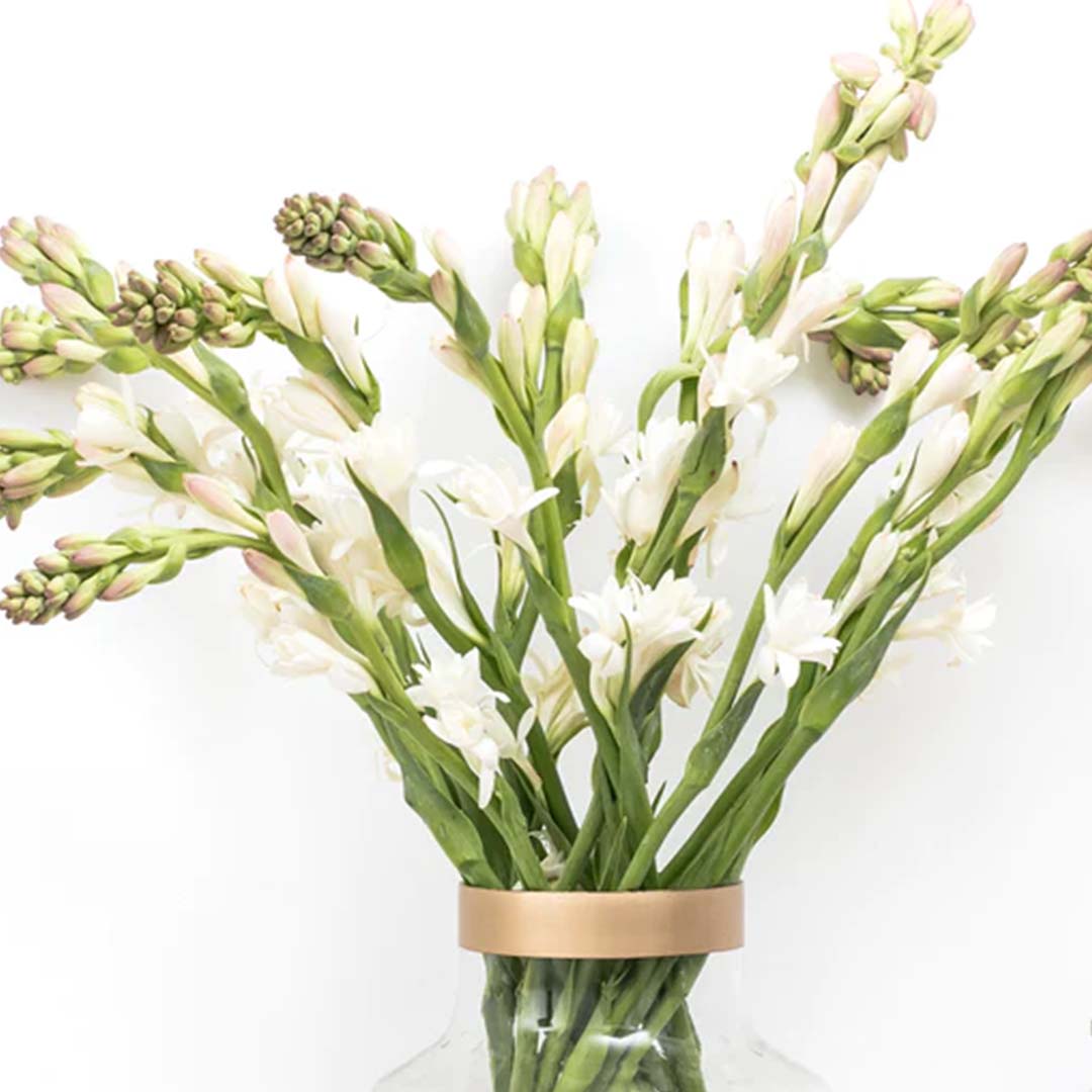TUBEROSE FLORAL WAX