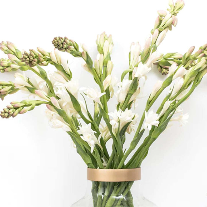 TUBEROSE FLORAL WAX