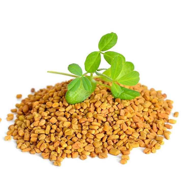 High quality essential oil manufacturer & exporter in wholesale bulk quantities. Buy Fenugreek floral wax with SVA Naturals