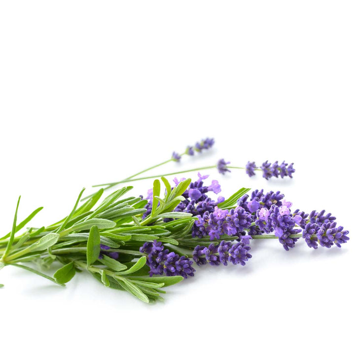 LAVANDIN SUPER ESSENTIAL OIL