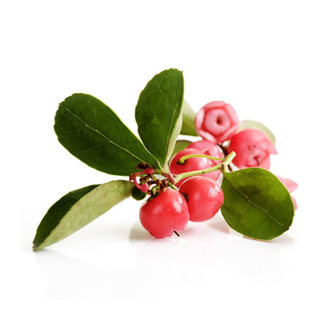 Sri Venkatesh Aromas (SVA Naturals): Top manufacturer & exporter of Bulk Wintergreen essential oil
