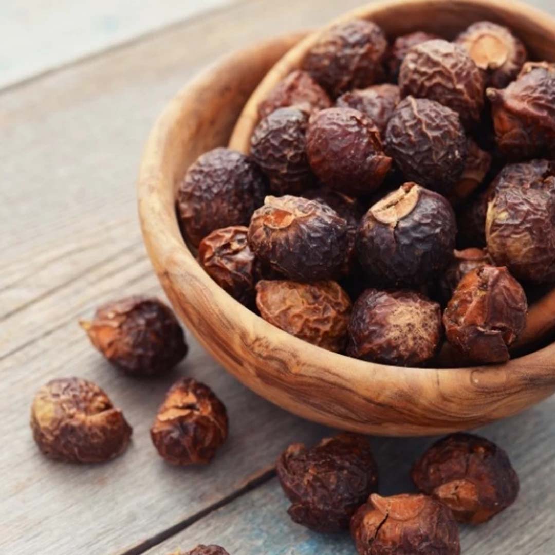 SOAP NUTS